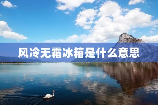 风冷无霜冰箱是什么意思 风冷无霜冰箱是什么意思
