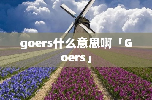 goers什么意思啊「Goers」 goers什么意思啊「Goers」