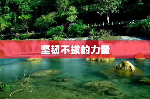 坚韧不拔的力量：永不言弃的精神