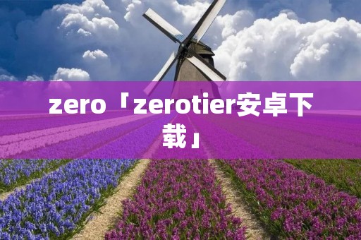 zero「zerotier安卓下载」