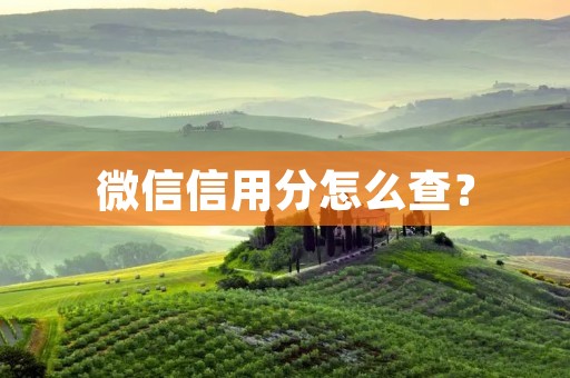 微信信用分怎么查?