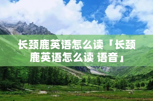 长颈鹿英语怎么读「长颈鹿英语怎么读 语音」