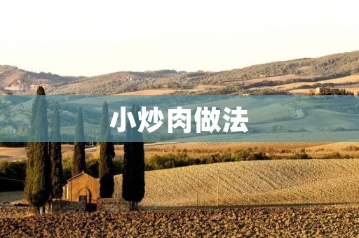 小炒肉做法:传统美味,快手下厨 小炒肉做法:传统美味,快手下厨