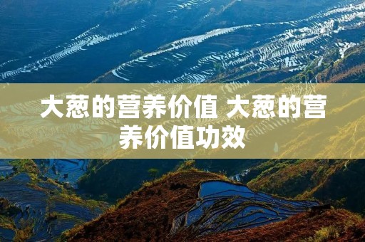 大葱的营养价值 大葱的营养价值功效
