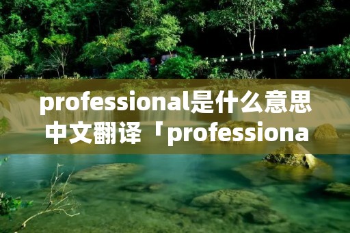 professional是什么意思中文翻译「professional是啥意思」