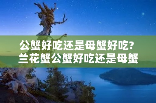 公蟹好吃还是母蟹好吃? 兰花蟹公蟹好吃还是母蟹好吃