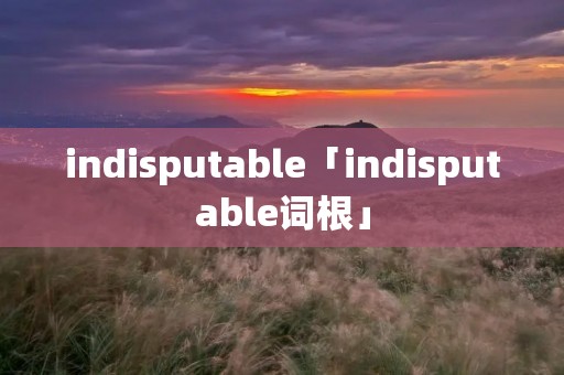 indisputable「indisputable词根」