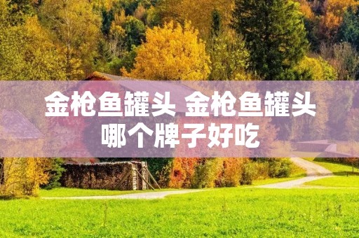 金枪鱼罐头 金枪鱼罐头哪个牌子好吃