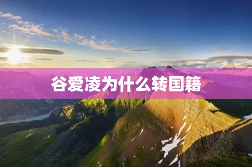 谷爱凌为什么转国籍