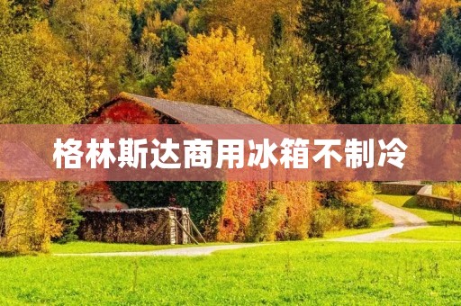 格林斯达商用冰箱不制冷：原因、解决方案与维修建议