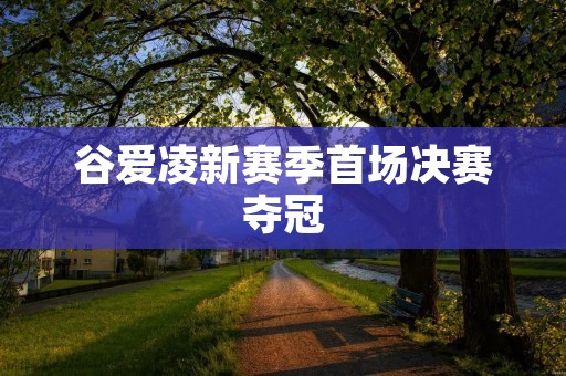谷爱凌新赛季首场决赛夺冠：创造历史的壮举