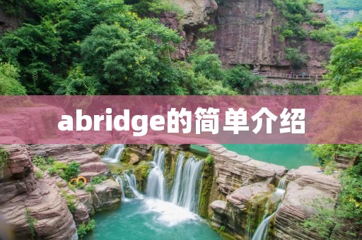 abridge的简单介绍 abridge的简单介绍
