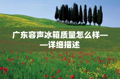 广东容声冰箱质量怎么样——详细描述