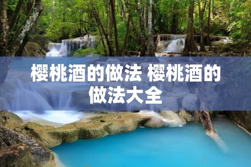 樱桃酒的做法 樱桃酒的做法大全
