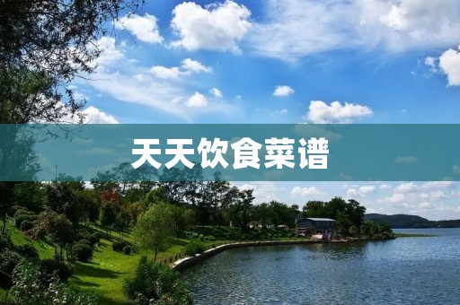 天天饮食菜谱：分享健康美味，让生活更美好