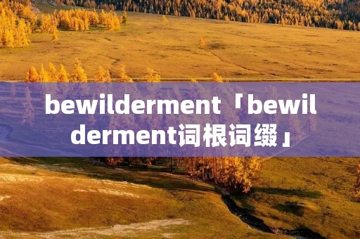 bewilderment「bewilderment词根词缀」