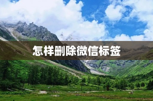 怎样删除微信标签