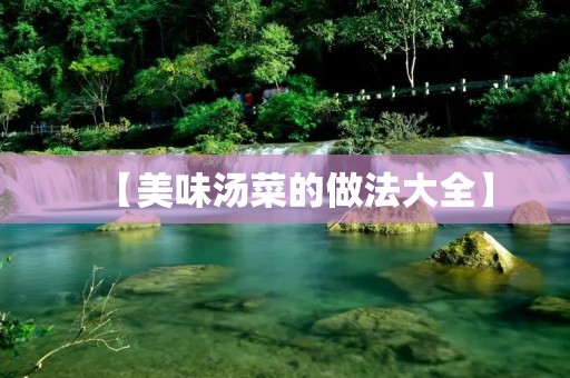 【美味汤菜的做法大全】