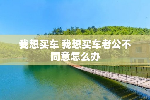 我想买车 我想买车老公不同意怎么办