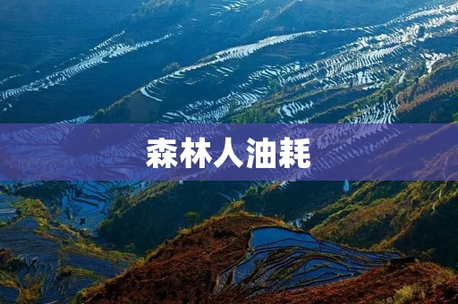森林人油耗：一款经济环保的越野利器