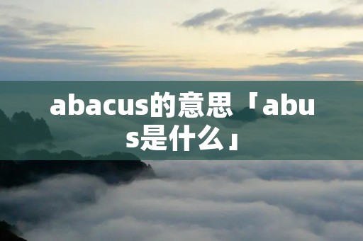 abacus的意思「abus是什么」