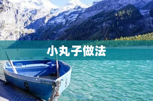 小丸子做法：传统美味的日本料理享受