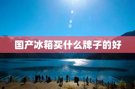 国产冰箱买什么牌子的好 国产冰箱买什么牌子的好