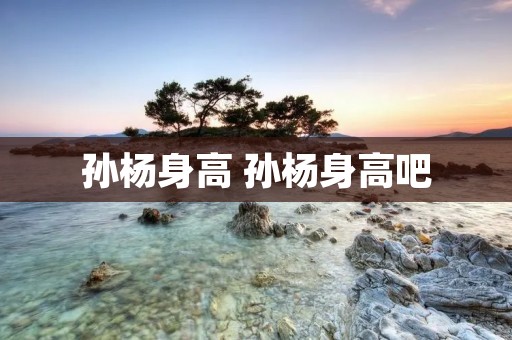 孙杨身高 孙杨身高吧