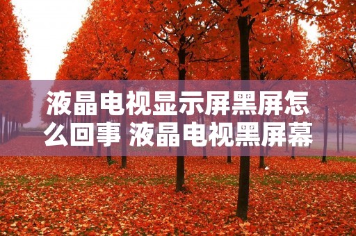 液晶电视显示屏黑屏怎么回事 液晶电视黑屏幕是什么问题 液晶电视显示屏黑屏怎么回事 液晶电视黑屏幕是什么问题