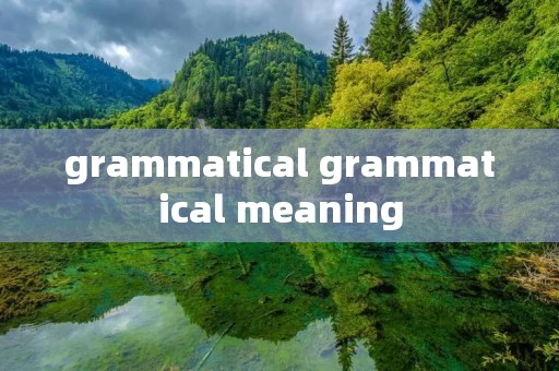 grammatical grammatical meaning