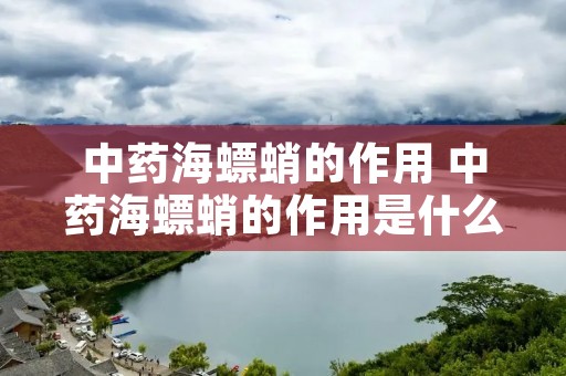 中药海螵蛸的作用 中药海螵蛸的作用是什么