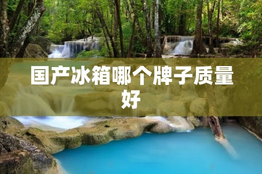 国产冰箱哪个牌子质量好