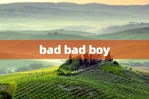 bad bad boy bad bad boy