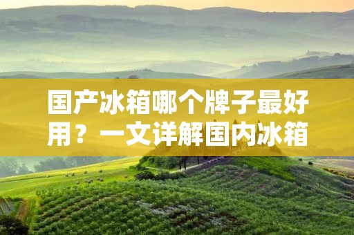 国产冰箱哪个牌子最好用？一文详解国内冰箱品牌的优劣势