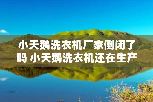 小天鹅洗衣机厂家倒闭了吗 小天鹅洗衣机还在生产吗?