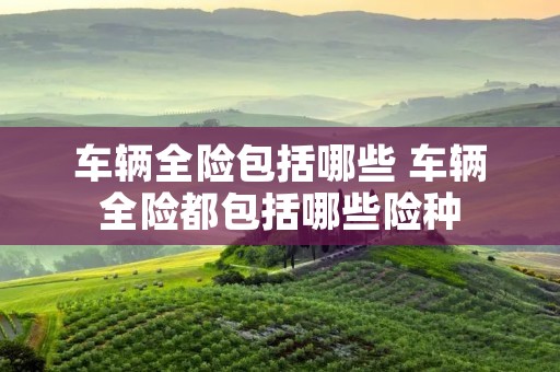 车辆全险包括哪些 车辆全险都包括哪些险种