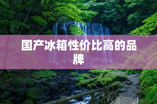 国产冰箱性价比高的品牌：寻找性价比之王