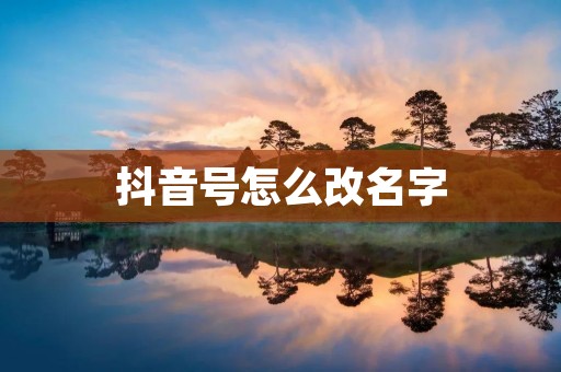 抖音号怎么改名字