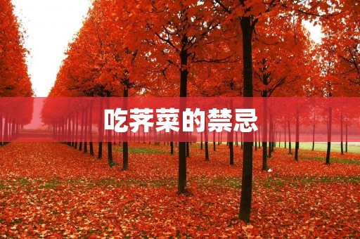 吃荠菜的禁忌：小心这些误区伤害健康