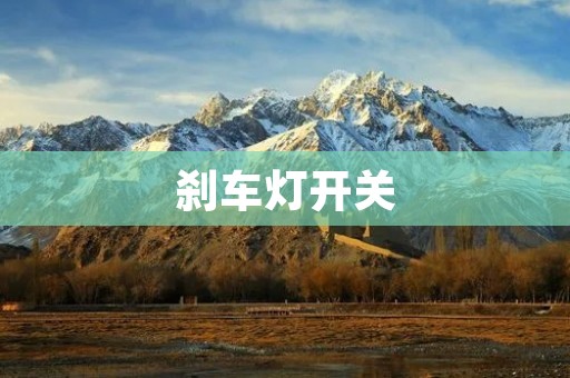 刹车灯开关：保障行车安全的重要设备