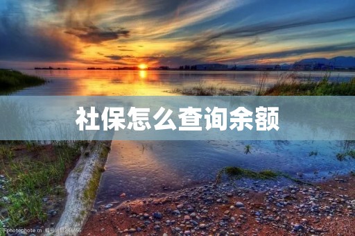 社保怎么查询余额