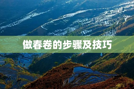 做春卷的步骤及技巧 做春卷的步骤及技巧