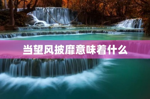 当望风披靡意味着什么:详细解读望风披靡的含义及其应用