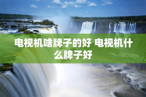 电视机啥牌子的好 电视机什么牌子好