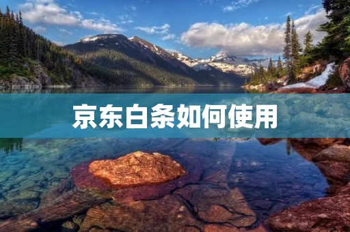 京东白条如何使用:详细解读与实用技巧