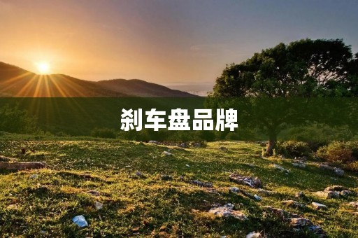 刹车盘品牌:如何选择适合自己的刹车盘? 刹车盘品牌:如何选择适合自己的刹车盘?