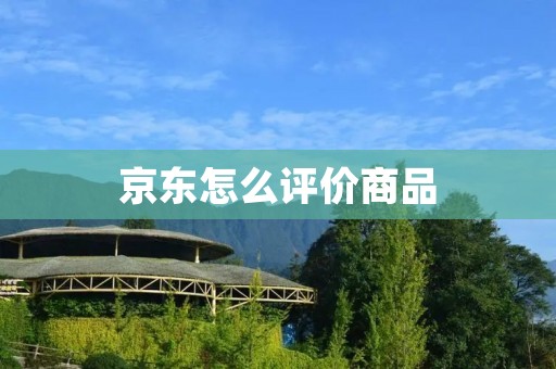 京东怎么评价商品