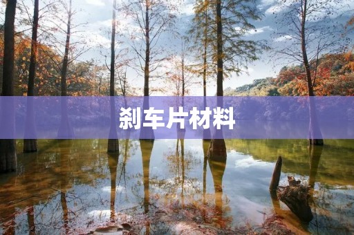 刹车片材料:选择合适的材料为行车安全保驾护航 刹车片材料:选择合适的材料为行车安全保驾护航