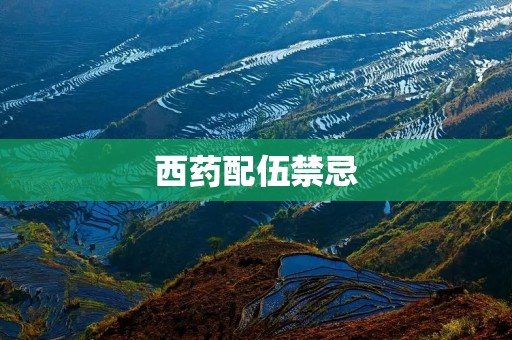 西药配伍禁忌：了解西药的配伍禁忌，保障用药安全