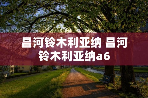 昌河铃木利亚纳 昌河铃木利亚纳a6